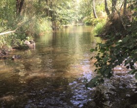 Hamerský potok v kempu