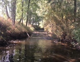 Hamerský potok v kempu