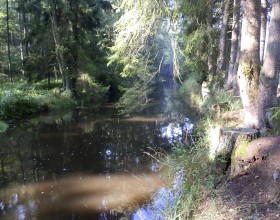 Hamerský potok v kempu