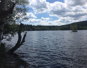 Naucna stezka Kladska